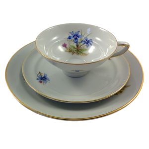 Set individual de porcelana con florcitas azules 1960